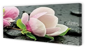 Tablouri canvas pietre Magnolia