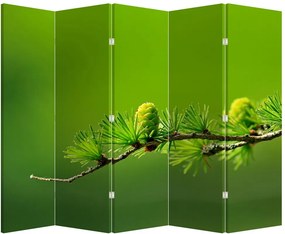 Paravan Con verde (210x170 cm)