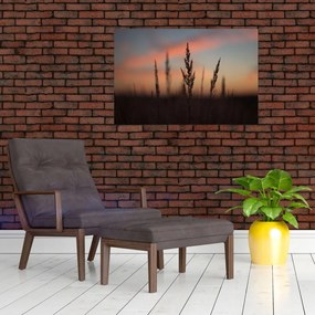 Tablou - Silueta plantei (90x60 cm)