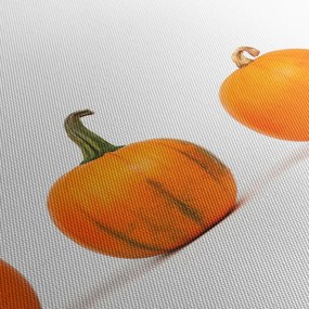 Tablou cu dovleac (cu ceas) (90x30 cm)