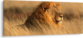 Tablou - Parcul Național Etosha (120x50 cm)