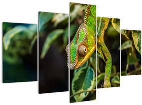 Tablou cu cameleon (150x105 cm)