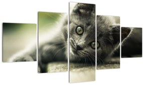 Tablou cu pisicuța (125x70 cm), în 40 de alte dimensiuni noi