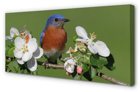 Tablouri canvas Flori papagal colorat