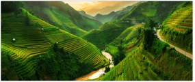 Tablou - Terase de orez Mu Cang Chai (120x50 cm)