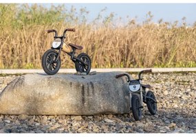 Bicicletă fără pedale QPlay FEDURO negru/auriu