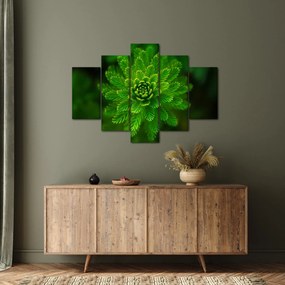 Tablou cu coniferi (150x105 cm)