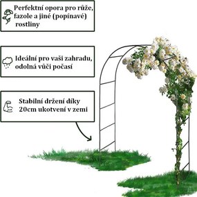 Arcada de grădină Anaterra pentru plante cățărătoare, 2 buc,