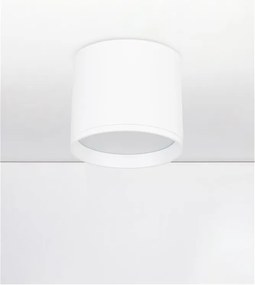 Spot aplicat, Plafoniera LED Ziaza alb, 10cm