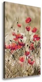 Imprimare tablou canvas Flori de câmp