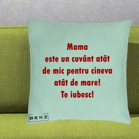 Cadou pentru Mama - Perna Personalizata Mama Cuvant Mic, 40x40 cm, Verde Menta, Husa Detasabila, Perna Inclusa, BEKZ®