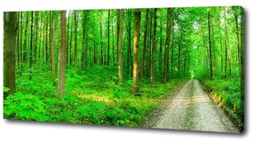 Imprimare tablou canvas Copaci în pădure