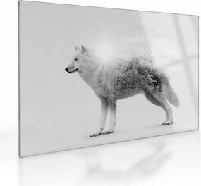 Tablou pe sticlă - Lupul arctic oglindit în peisajul sălbatic, alb-negru (70x50 cm)