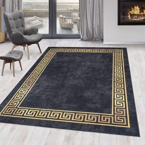 Covor gri antracit lavabil 160x230 cm Fiesta – Ayyildiz Carpets