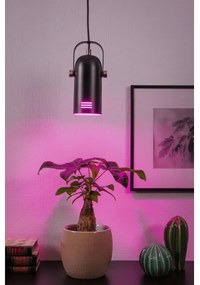 Paulmann LAVEA 79766 - Lustră suspendată pe cablu LED RGBW 1xE27/15W 230V, neagră