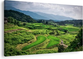 Tablou cu câmp de orez (90x60 cm)