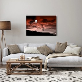 Tablou - Luna luminează noaptea (90x60 cm)
