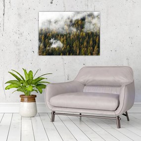 Tablou - Pădure în nori (70x50 cm)