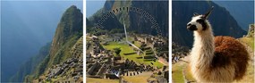 Tablou - Lama și Machu Picchu (cu ceas) (90x30 cm)