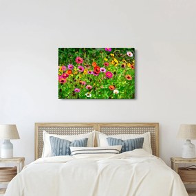 Tablou cu flori de luncă (90x60 cm)