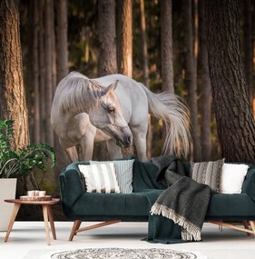 Fototapet - Calul alb în pădure (254x184 cm), în 8 de alte dimensiuni noi