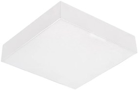 Emithor 63217 - Plafonieră LED SURFACE 1xLED/20W/230V