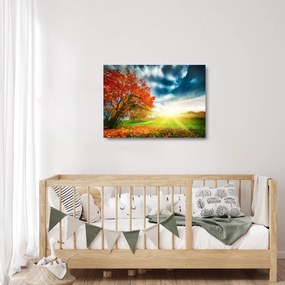 Tablou pe sticlă peisaj cu scufundat în razele solare (70x50 cm)