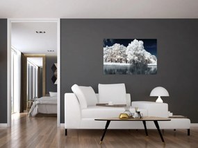 Tablou - Albă ca Zăpada Albă ca Zăpada Copaci (90x60 cm)