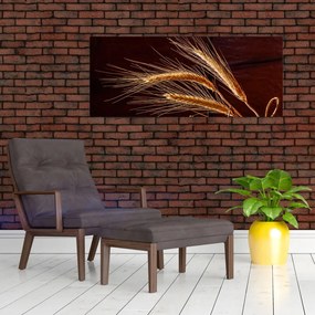 Tablou - Spic în prim plan (120x50 cm)