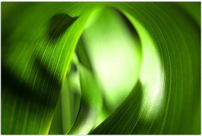 Tablou - Un fir de iarbă (90x60 cm)