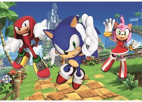 Sonic Ariciul Amy Rose 104 piese maxi puzzle Clementoni