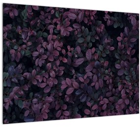 Tabou - Frunze roșu închis (70x50 cm)