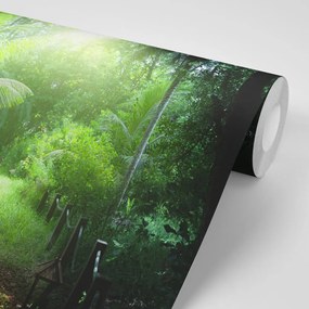 Fototapet potecă pe insula Seychelles