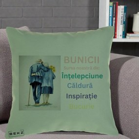 Cadou pentru Bunici - Perna Personalizata Bunicii Sursa Intelepciune Caldura Acuarela, 40x40 cm, Verde, Husa Detasabila, Perna Inclusa, BEKZ®