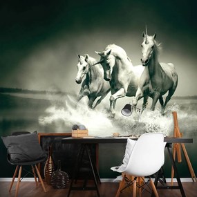 Fototapet - Unicorni galopînd pe apă (254x184 cm)