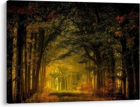 Tablou cu pădure (70x50 cm)