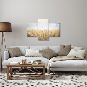 Tablou cu grâne (90x60 cm)