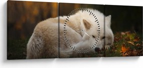 Tablou - Lupul care se odihnește (cu ceas) (90x30 cm)