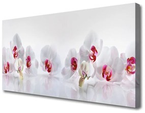 Tablou pe panza canvas Flori Floral Alb Roșu