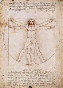Imprimare de artă Omul vitruvian, Leonardo Da Vinci, (50 x 70 cm)