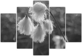 Tablou - Iarba de bumbac (150x105 cm)