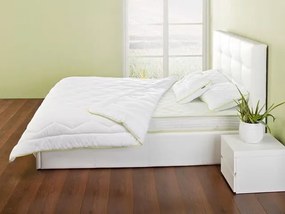 2xDORMEO PILOTĂ DUBLĂ ALOE VERA 200X200
