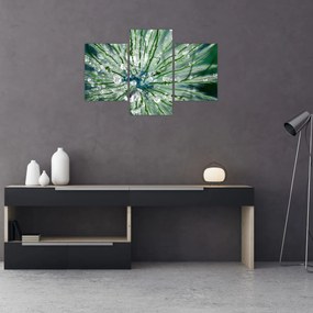 Tablou - Imagine macro a unei flori (90x60 cm)