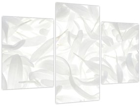Tablou - Petale de frunze (90x60 cm)
