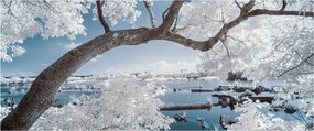 Tablou cu copac înzăpezit lângă apă (120x50 cm)