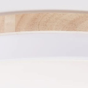 Plafonieră LED dimabilă Brilliant BAARLO LED/36W/230V d. 50 cm alb + telecomandă