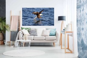 Tablou canvas Vultur atacand - 80x50cm