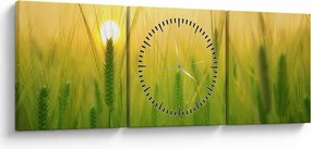 Tablou - Câmp cu cereale (cu ceas) (90x30 cm)