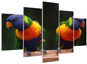 Tablou cu papagali (150x105 cm)