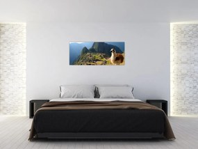 Tablou - Lama și Machu Picchu (120x50 cm)